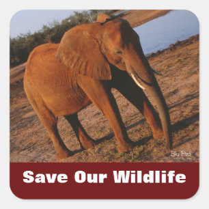Elephant Save Our Wildlife Stickers