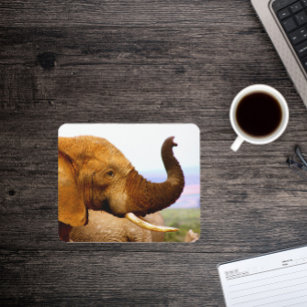 Elephant Scents Wildlife Photography Mousepad