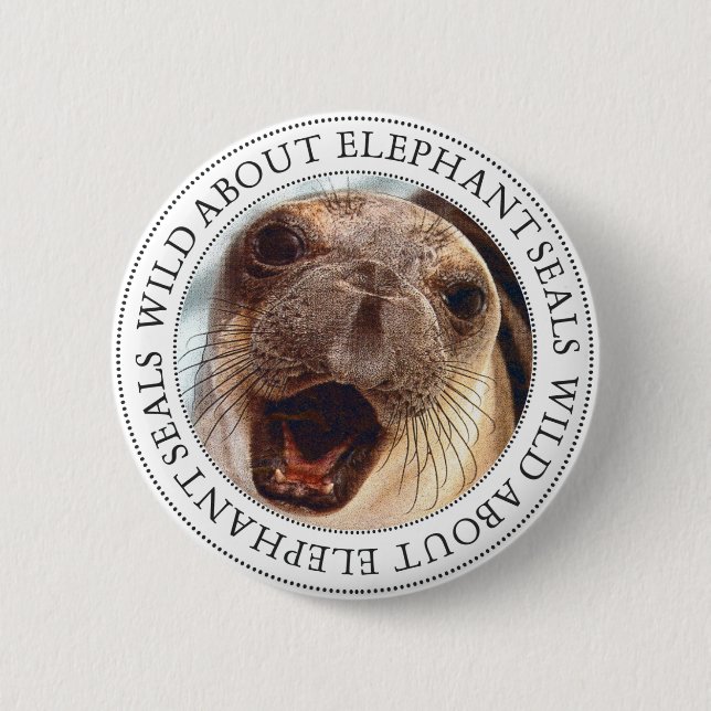 Elephant Seal 6 Cm Round Badge (Front)