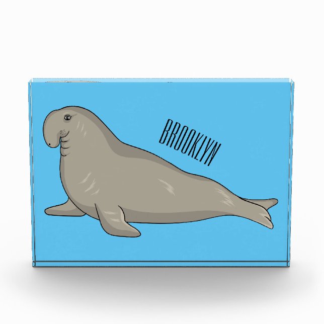 Elephant seal cartoon illustration photo block (Front)