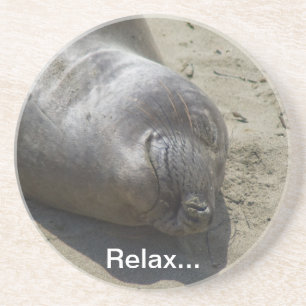 Elephant Seal Coaster