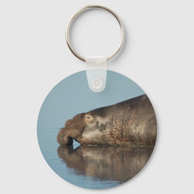 Elephant Seal Key Ring (Front)