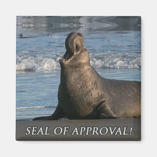 Elephant Seal Of Approval Magnet