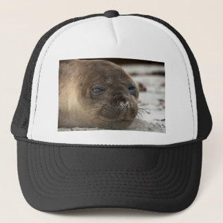 Elephant Seal pup Trucker Hat
