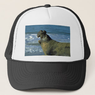 Elephant Seal Roaring On Beach Trucker Hat