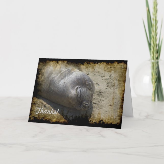 Elephant Seal Thank You Card (Front)
