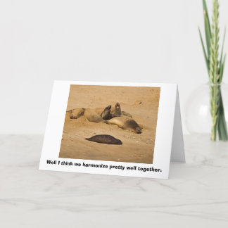 Elephant Seals Bellow in Harmony Card