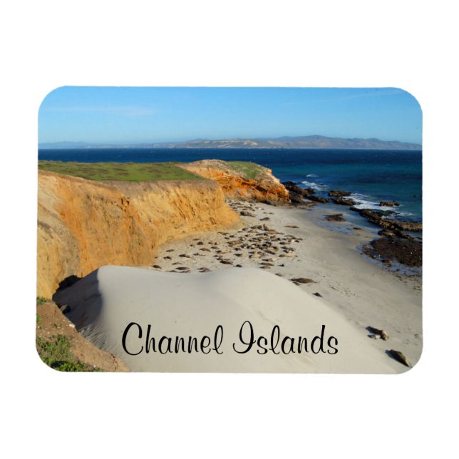 Elephant Seals, San Miguel Island, Channel Islands Magnet (Horizontal)