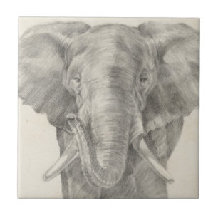Elephant Sketch Ceramic Tile