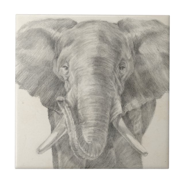 Elephant Sketch Ceramic Tile (Front)