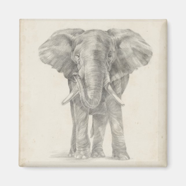 Elephant Sketch Magnet (Front)