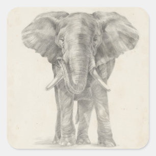 Elephant Sketch Square Sticker