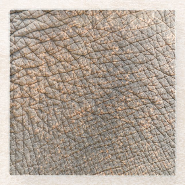 Elephant Skin: Abstract Texture Background Glass Coaster (Front)
