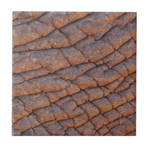 Elephant Skin Ceramic Tile