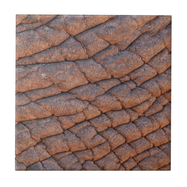 Elephant Skin Ceramic Tile (Front)