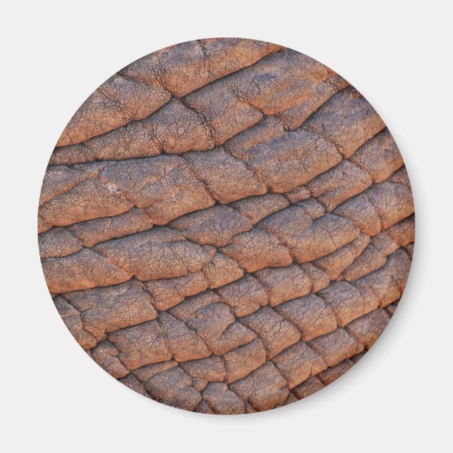 Elephant Skin Magnet (Front)