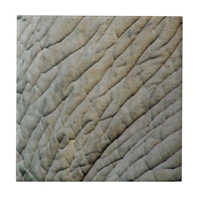 Elephant Skin Personalised With Your Name Ceramic Tile (Front)