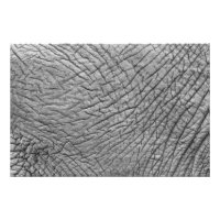Elephant skin