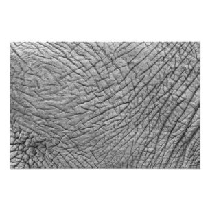Elephant skin photo print