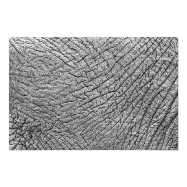 Elephant skin photo print (Front)