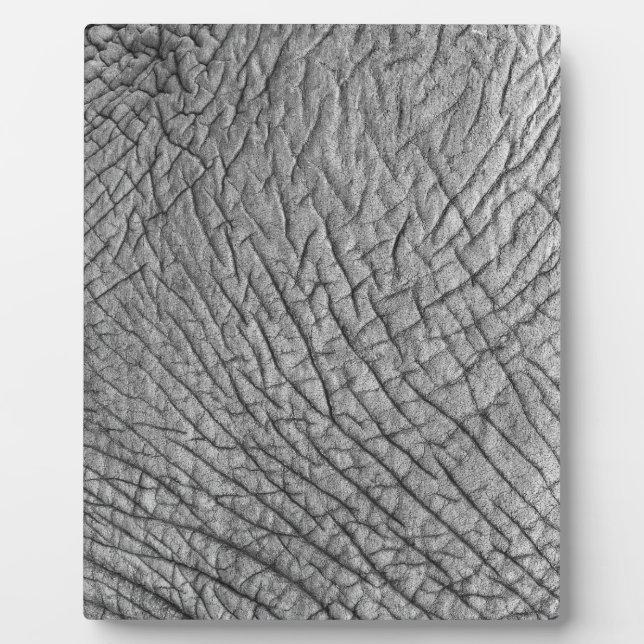 Elephant skin plaque (Front)