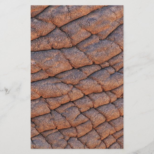 Elephant Skin Stationery (Front)
