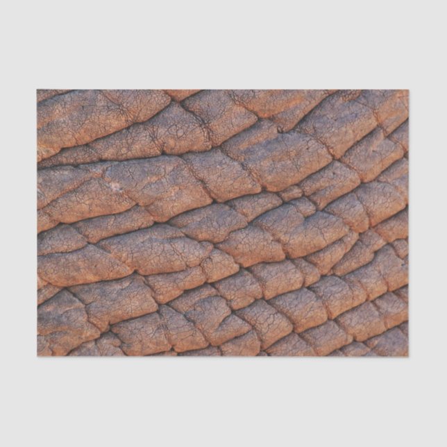 Elephant Skin Tissue Paper (Front)