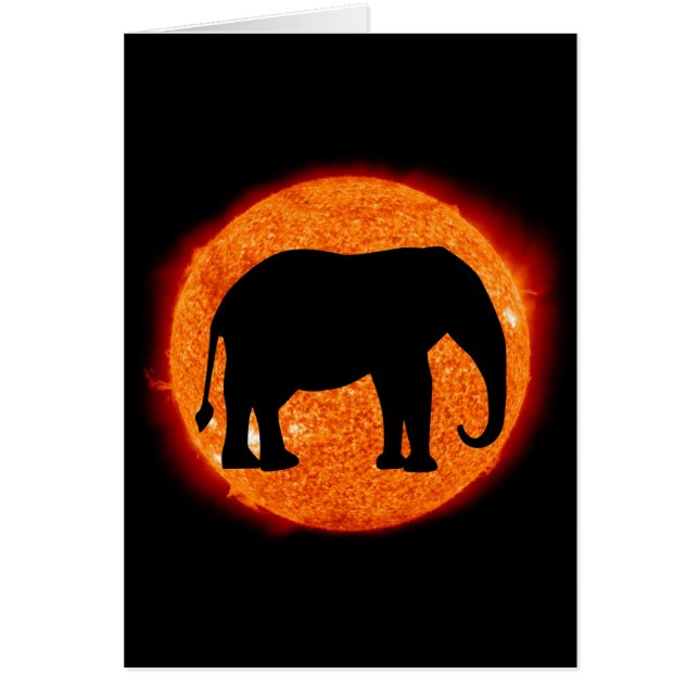 Elephant Solar Eclipse (Front)