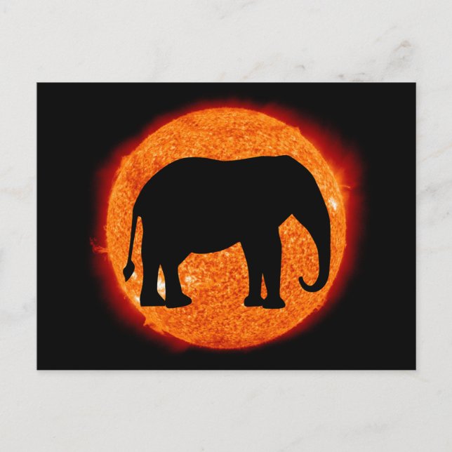 Elephant Solar Eclipse Postcard (Front)