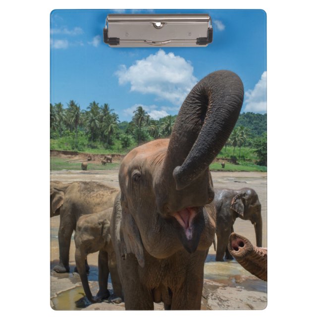 Elephant Sri Lanka Clipboard (Front)