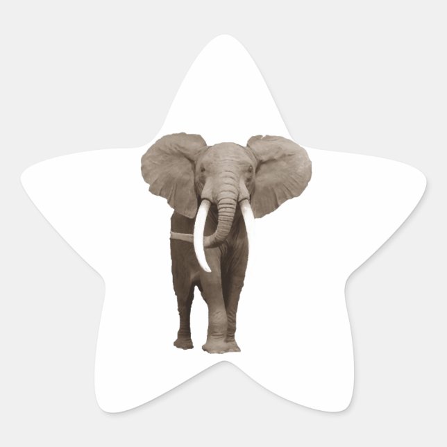 Elephant Star Sticker (Front)