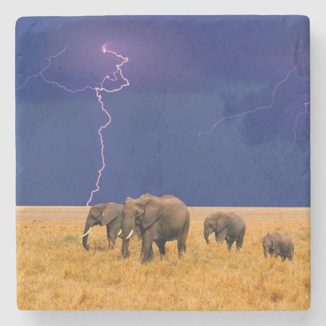 Elephant Stone Coaster (Front)