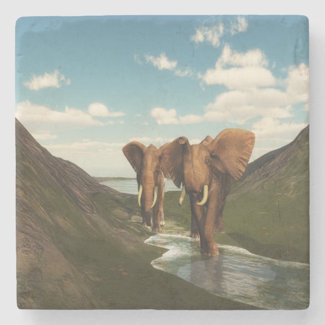 Elephant Stone Coaster (Front)