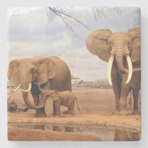 Elephant Stone Coaster