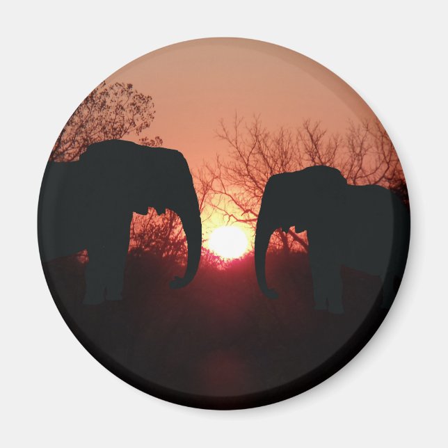 Elephant Sunset Silhouette Magnet (Front)