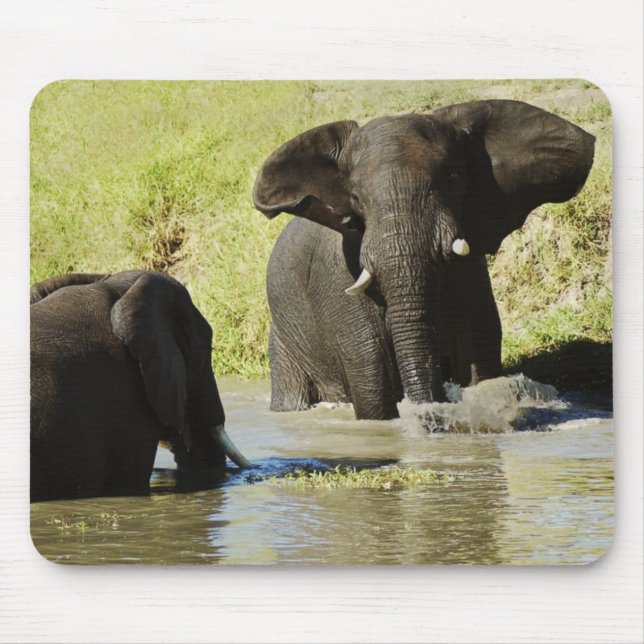 Elephant swimming mouse pad (Front)