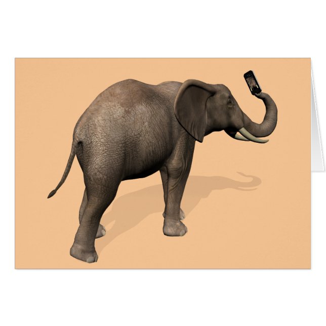 Elephant Taking A Selfie (Front Horizontal)