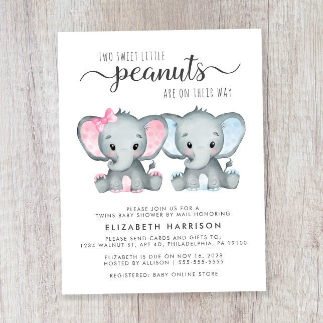 Elephant Twin Boy Girl Baby Shower By Mail Invite (Creator Uploaded)