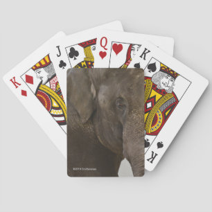 Elephant Up-Close Playing Cards