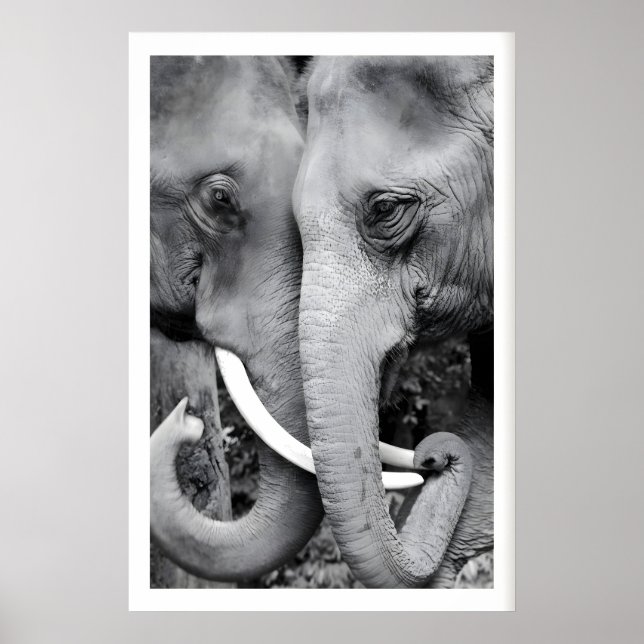 Elephant Wall Art Print Close-Up Black and White (Front)
