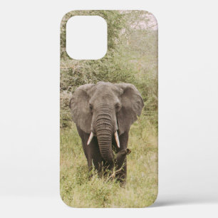 ELEPHANT WATCHING A TOUR CAR iPhone 12 CASE