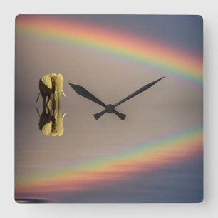 Elephant, water, and rainbow, Kenya Square Wall Clock