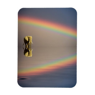 Elephant, Water & Rainbow, Kenya Magnet