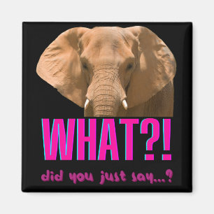 Elephant What Did You Just Say? Magnet