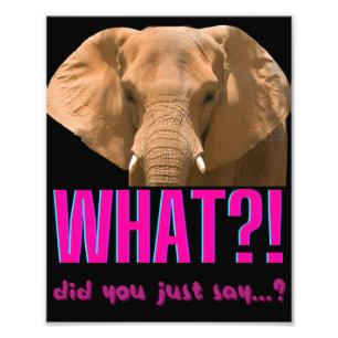 Elephant What Did You Just Say? Photo Print
