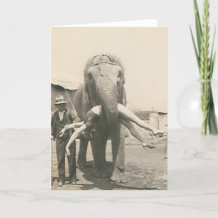 elephant with girl in mouth greeting card