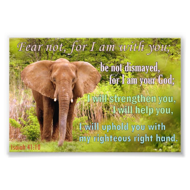 Elephant with Isaiah 41:10 Photo Print (Front)