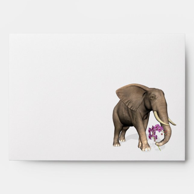 Elephant With Pink Orchid Envelopes (Front)