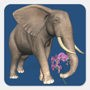 Elephant With Pink Orchid Square Sticker