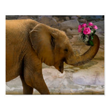 Elephant with Roses Poster